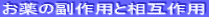 ̕pƑݍp